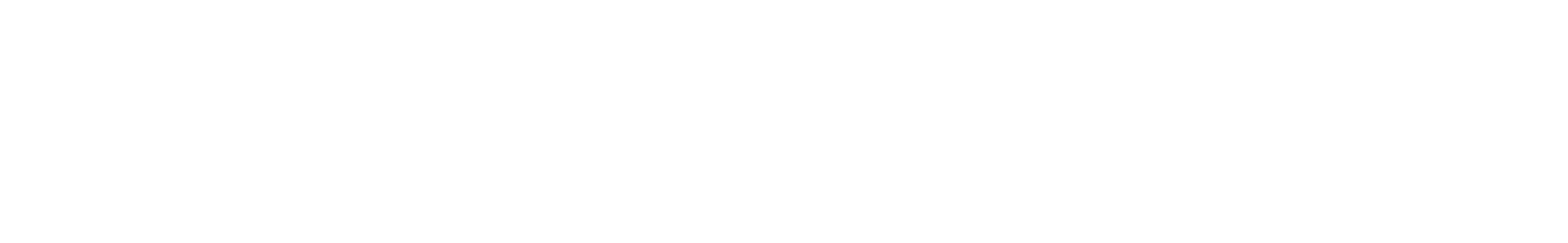 HomeSmart Logo White